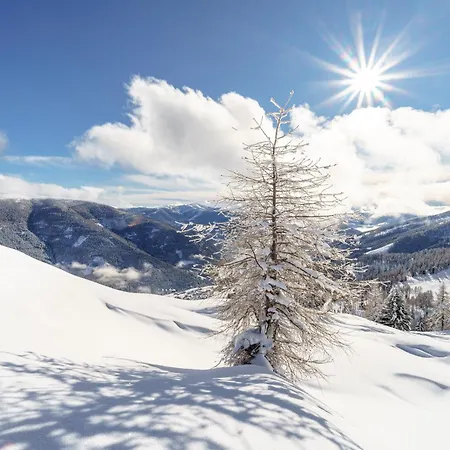 Deluxe Panorama Apartment-maibrunn-alm Bad Kleinkirchheim