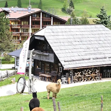 Deluxe Panorama Apartment-maibrunn-alm * Bad Kleinkirchheim