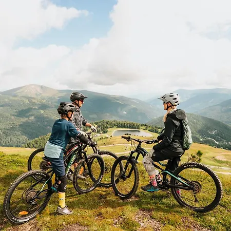 Deluxe Panorama Apartment-maibrunn-alm Appartement