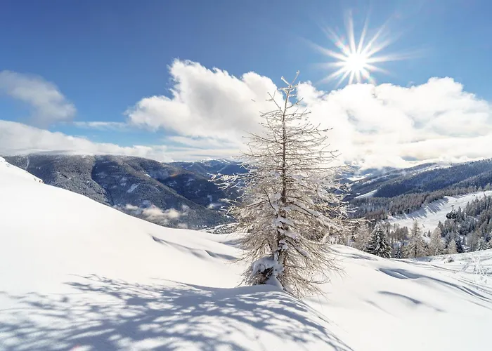 Deluxe Panorama Apartment-maibrunn-alm Бад Кляйнкирххайм