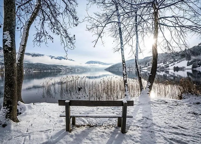 Deluxe Panorama Apartment-maibrunn-alm *